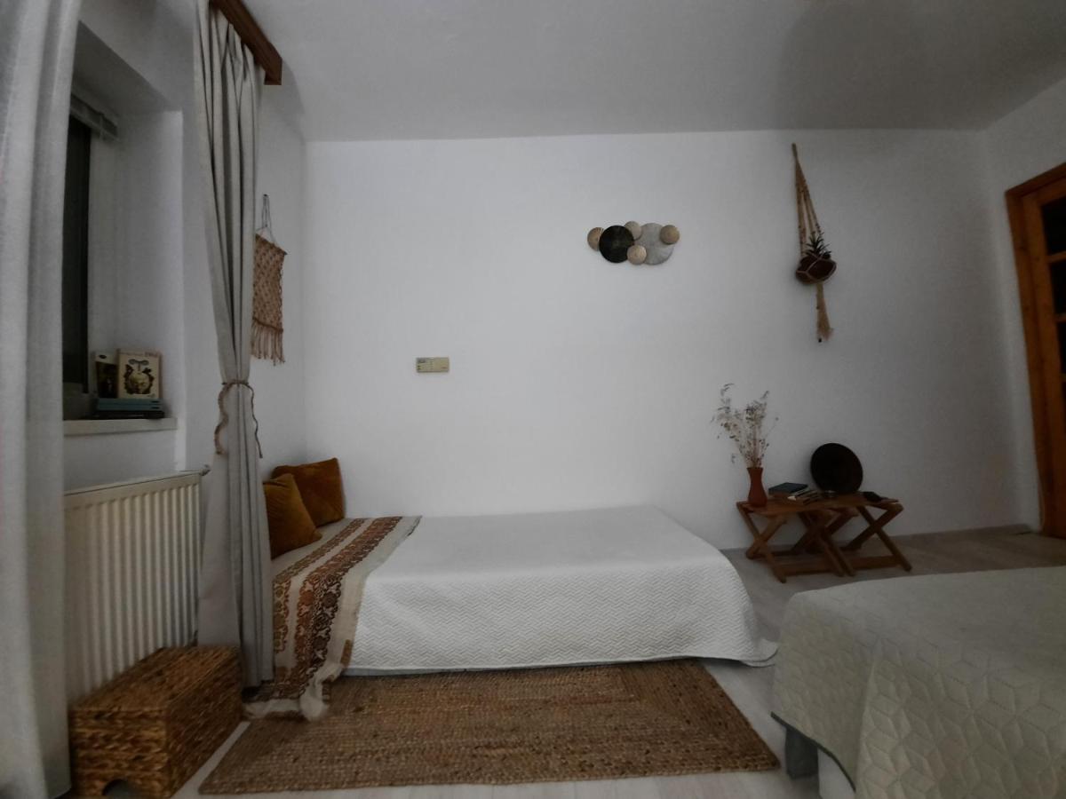 Cocooning In A Lovely Mountain Suite - Two Azuga Esterno foto